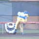 Image for article titled Bingo The Bumbling Bee Bashes His Bee Balls
